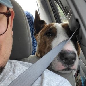 Meet your Posher, Juan